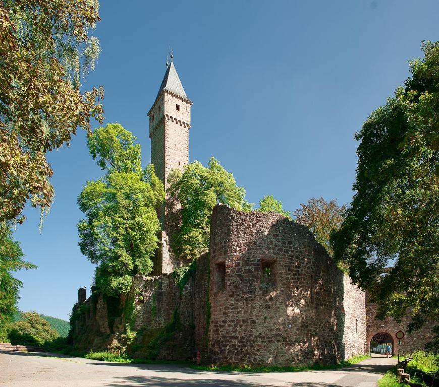 Schlosshotel Hirschhorn Kültér fotó