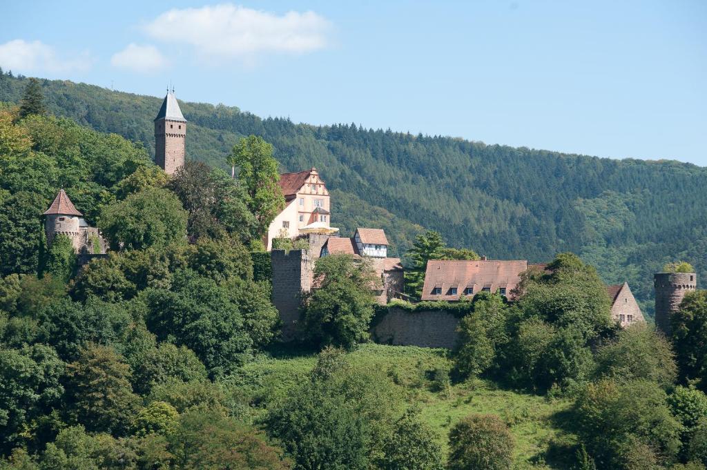 Schlosshotel Hirschhorn Kültér fotó